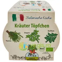 Ghiveci Biodegradabil cu Seminte pentru Semanat Mix de Ierburi Italiene Bio 3buc