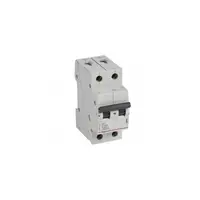 Siguranta automata MCB RX³ 6000 - 2P - 230/400 V~ - 20 A - C curba - alimentare tip furca