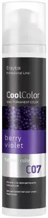 Erayba CoolColor Pigment pentru păr, C07 Berry Violet, 100 ml