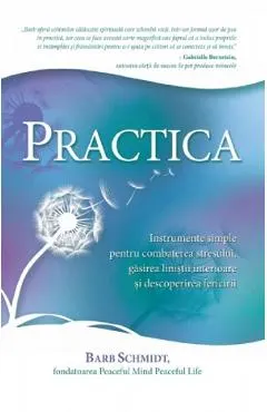 Practica