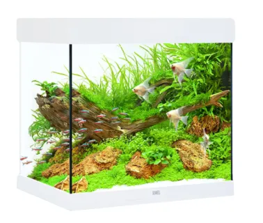Juwel Acvariu Led Lido 120 Alb