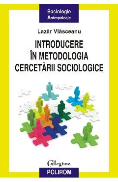 eBook Introducere in metodologia cercetarii sociologice