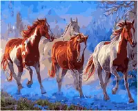 Set de vopsea după număr Foska -Galop