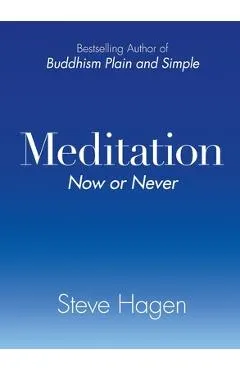 Meditation Now or Never