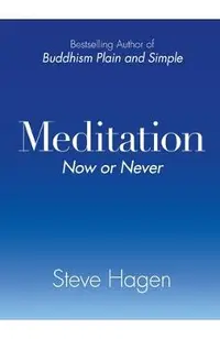 Meditation Now or Never