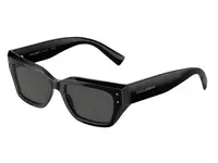 Dolce & Gabbana DG4462 501/87