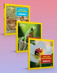 Pachet 2 NG Prima mea enciclopedie (3 volume)