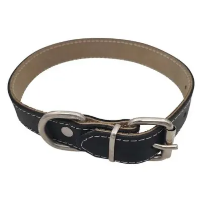 Zgarda din piele pentru caini Nr.3 Petro Neagra 2,4 x 50 cm
