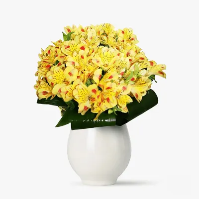 Buchet de 25 alstroemeria galbene