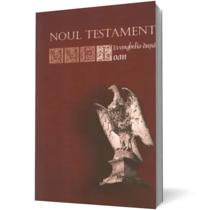 Noul Testament. Evanghelia după Ioan