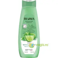 Gel de Dus Cremos cu Parfum de Menta si Mojito 500ml