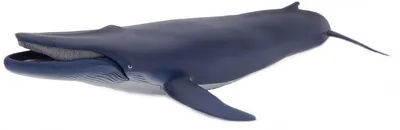Figurina Papo Marine Life – Balena albastra