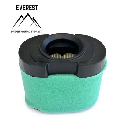 Filtru de Aer Briggs&stratton Intek 2 Cilinri Tip Nou Everest