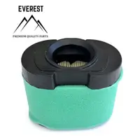 Filtru de Aer Briggs&stratton Intek 2 Cilinri Tip Nou Everest