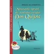 Minunatele ispravi ale vestitului cavaler Don Quijote