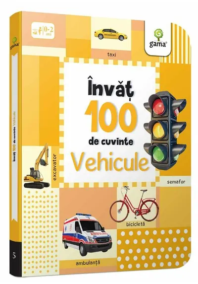 Invat 100 de cuvinte