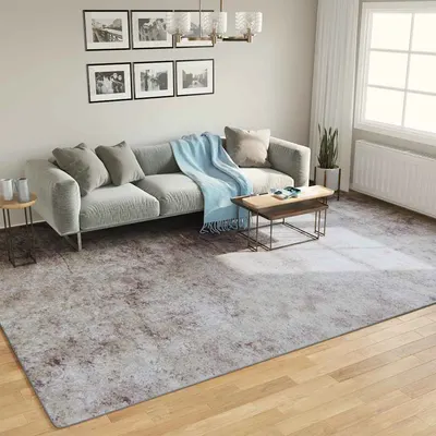 vidaXL Covor lavabil, gri, 400x300 cm