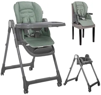 Scaun de masă 3 în 1 Lorelli - Chef, Green Leather