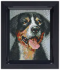 Mozaic cu ramă Pixelhobby - Câine Sennenhund, Kit Pixel Clasic