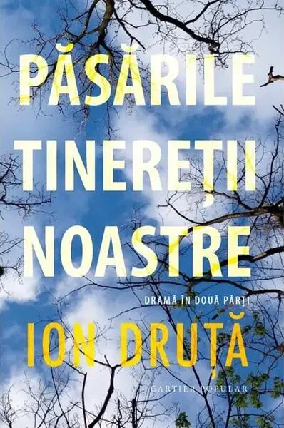 Păsările tinereții noastre - Paperback brosat - Ion Druță