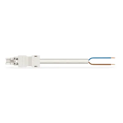 pre-assembled connecting cable; Eca; Socket/open-ended; 2-pole; Cod. A; H05VV-F 2 x 2.5 mm²; 1 m; 2,50 mm²; white