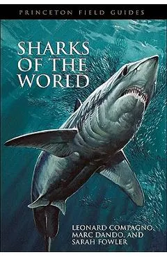Sharks of the World