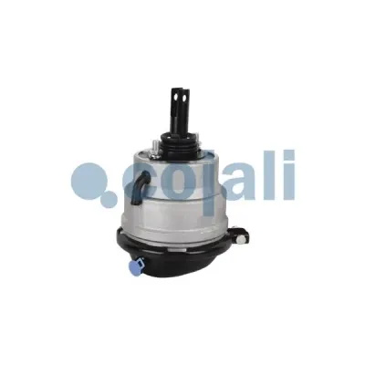 Cojali 2851407