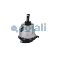 Cojali 2851407