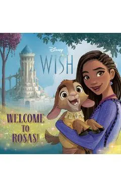 Disney Wish Pictureback