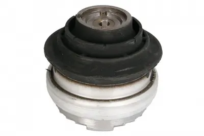 Suport motor fata dreapta (Hidraulic) MERCEDES C T-MODEL (S202), C (W202), CLK (A208), CLK (C208), E T-MODEL (S210), E (VF210), E (W210), SLK (R170) 2.0-5.4 intre 1993-2003