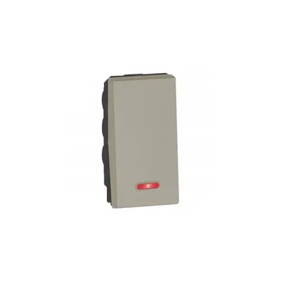 Intrerupator cap scara Arteor - cu indicator - 10 AX 250 V~ - 1 module - champagne