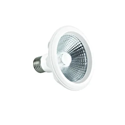 LED lamp PAR30, 10W, E27, 3000K, 700lm, 230V, 40°