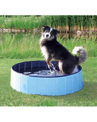 TRIXIE Piscina pentru caini 70 × 12 cm