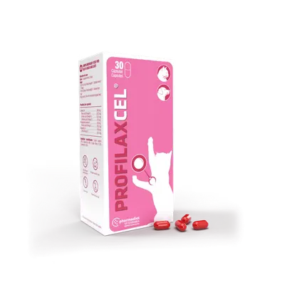 Profilaxcel, 30 capsule moi