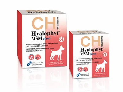 Hyalophyt MSM Giants - Supliment pentru articulatii - 30cpr.