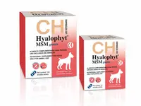Hyalophyt MSM Giants - Supliment pentru articulatii - 30cpr.