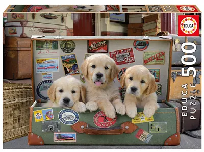 Puzzle