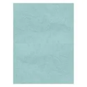 Coperta indosariere A4 CNX, carton imitatie piele, verde pastel, 230g/mp, top 100 coli