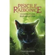 Pisicile Razboinice. Cartea 23. Razboinicul Uitat