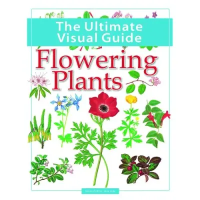 The Ultimate Visual Guide