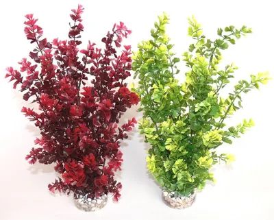 Sydeco Plante Butterfly XL 36cm 151