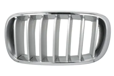 Grila radiator Stanga potrivit BMW X5 (F15, F85), X6 (F16, F86) 2.0D-4.4 2013-2019 - (PURE EXPERIENCE, crom/titan)