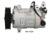 Compresor climatizare potrivit RENAULT GRAND SCENIC III, MEGANE, MEGANE III, MODUS, SCENIC III 1.2LPG-1.6LPG 05.08-03.17