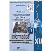 Manual informatica, clasa a 12-a, modulul 3