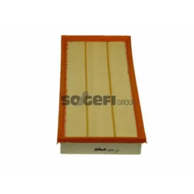 Filtru aer PURFLUX A379
