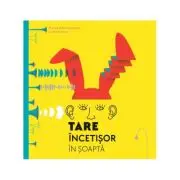 Tare, incetisor, in soapta