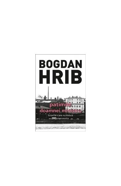Patimile doamnei ministru. Seria Stelian Munteanu (Vol.5) - Paperback brosat - Bogdan Hrib