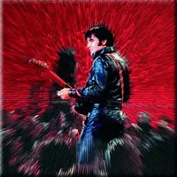 Magnet - Elvis Presley - Shine