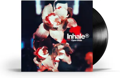 Open Wide - Vinyl