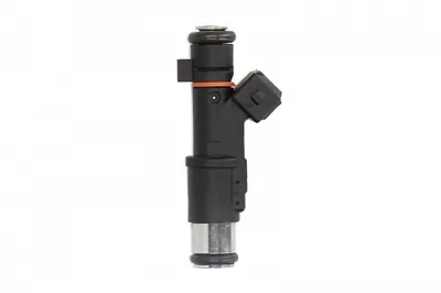 Injector combustibil potrivit CITROEN C8; PEUGEOT 406, 407, 607, 807 2.2 02.00